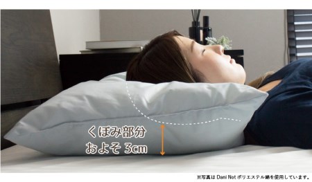 　アース製薬と共同開発！防ダニ枕【Dani Not】そば殻　43×63㎝ 15-27