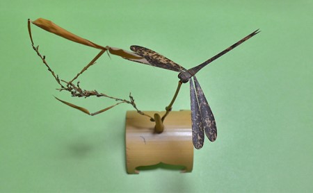 ＜京都産竹使用＞竹のバランストンボ1匹ver(小)リラックスインテリア!　竹ストロー5本付き　019-05