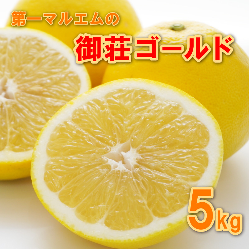 
                  【先行予約】御荘ゴールド 5kg 8000円 みかん mikan 蜜柑 ミカン 河内晩柑 かわちばんかん 愛南ゴールド 産地直送 国産 農家直送 期間限定 数量限定 特産品 ゼリー ジュース アイス 冷凍 みかん 等に 人気 甘い フルーツ 果物 柑橘 おいしい ジューシー 愛媛県 愛南町 第一マルエム青果有限会社
                