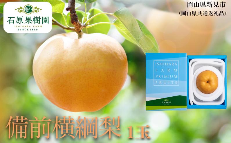 
                  備前横綱梨 1玉箱 赤秀 (1～1.5kg玉）【先行予約 2026年11月中旬から順次発送】
                