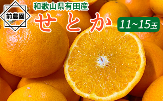 
BL6160n_【産地直送】和歌山県産 せとか 11玉～15玉
