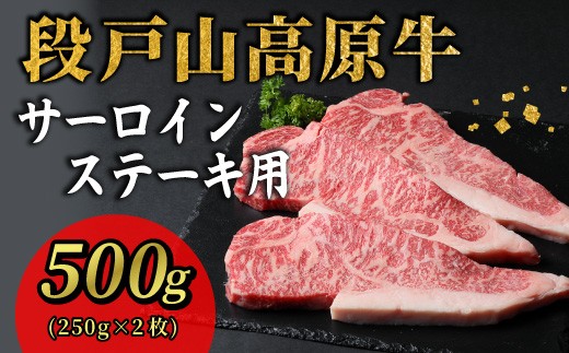 
                  段戸山高原牛 サーロイン ステーキ用 2枚 (250g×2) 500g  国産牛 幻の牛 牛肉 ステーキ 国産 バーベキュー 焼肉 蓬莱泉 酒粕育ち ブランド牛 愛知県 設楽町 -076
                