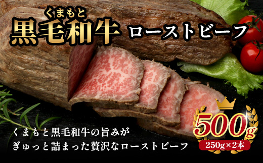 くまもと黒毛和牛 《 クリスマス セット 》ローストビーフ 500g ・ DREAMバーグ 150g×5パック ※12月19・20日限定発送※ 黒毛 和牛 100％ ハンバーグ ごちそう ロースト ビ