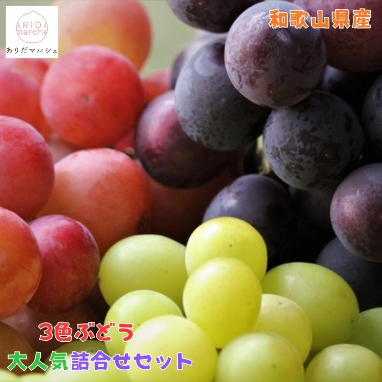 農家直送 ３色ぶどう詰め合わせ大人気セット 約2kg入り ［2026年・先行予約］ AO032