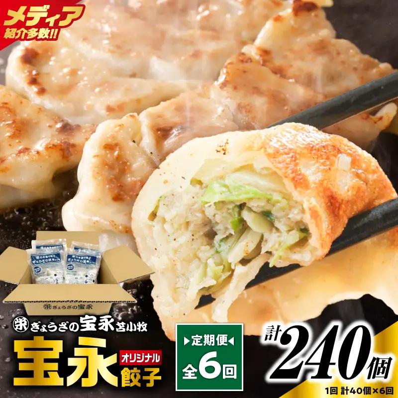【定期便・全6回 毎月】手包み餃子 ぎょうざの宝永 宝永餃子40個セット（宝永餃子10個入×4袋） T004-T03-04 定期便 定期 惣菜 総菜