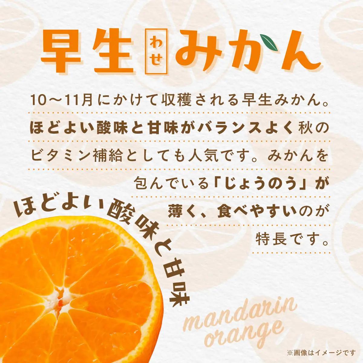 【先行受付】【数量限定】早生みかん（生果）5kg（2026年11月上旬より順次発送） IKTQ005