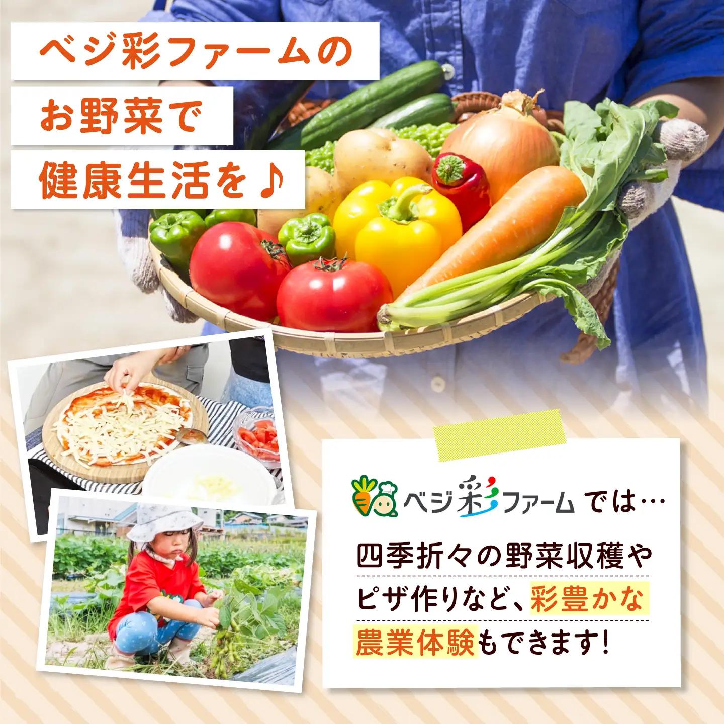 【先行予約/2026年10月以降発送】旬のお野菜3種類以上＆お米2kg＆平飼い卵セット 大阪府高槻市/ベジ彩ファーム[AOEJ015]