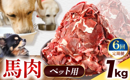 【 定期便6回 】ペット用 馬肉 切り落とし 1kg ( 500g × 2パック ) | 熊本県 熊本 くまもと 和水町 なごみ 馬肉 おまかせ 日本原産 国内肥育 小分け 冷凍