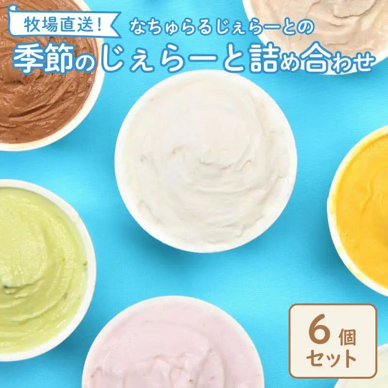 濃厚ミルクアイス 6個セット アイスクリーム 搾りたて牛乳アイス ピスタチオ ジェラート こだわりアイス スイーツ ギフト nakano001