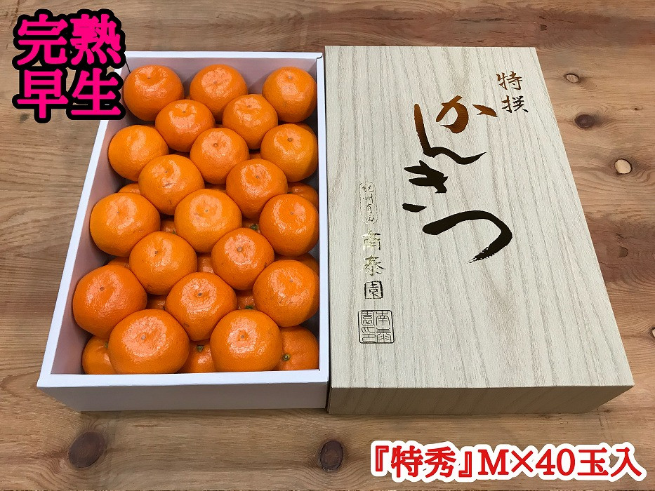 
年内発送 完熟早生 有田みかん 化粧箱 特秀 M サイズ 40玉入
