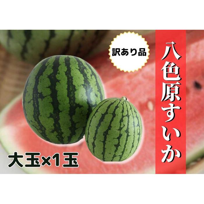 【ふるさと納税】すいか 訳あり 新潟県南魚沼産 八色原スイカ 大玉 1玉【お届け日時指定不可】 | フルーツ 果物 くだもの 食品 人気 おすすめ 送料無料　わけあり
