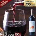 【ふるさと納税】南阿蘇村産ぶどう100%使用 赤ワイン RED cow 1本 750ml《30日以内に出荷予定(土日祝除く)》熊本県 南阿蘇村 カベルネ・ソーヴィニヨン ヤマ・ソーヴィニヨン ワイン 酒 お酒