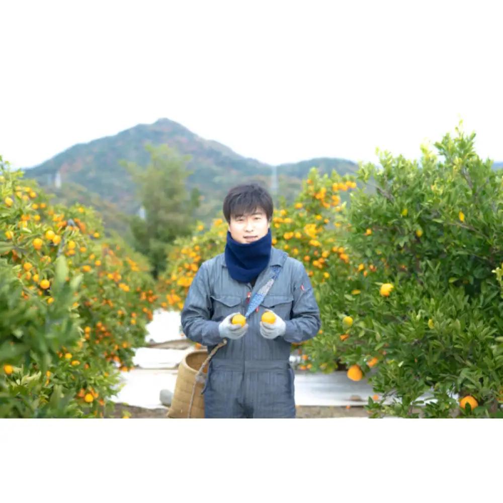 等級混合 極早生 有田みかん M ～ SSサイズ以下 約1.6kg 南泰園 和歌山 有田みかん
