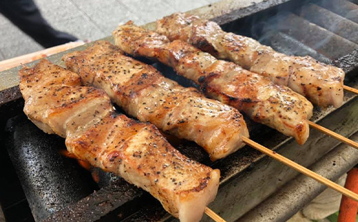 FYN6-192 【月山maltポーク】山形県産バーベキュー用ジャンボ豚バラ串 6本 豚肉 山形県 西川町