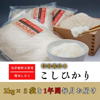 ふるさと納税 八頭町 “土づくりの恵み” つやっつやの特別栽培米お届け 12ヶ月コース