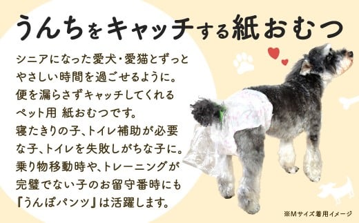うんぽパンツ Lサイズ 55個入り