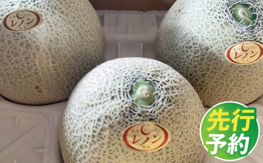 レノン メロン 箱込み 約5㎏（3～6玉入り） 赤肉メロン
