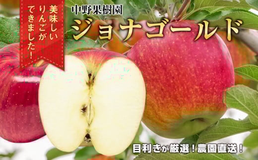 
            中野果樹園のジョナゴールド５ｋｇ（１６～２０個入り）
          