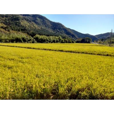 ふるさと納税 上郡町 【栽培期間中農薬不使用】『タガメの里自然米』2025年産「ぴかまる」玄米5kg |  | 03