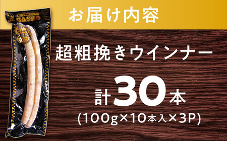 【長さ20-30cm超ロング！超粗挽きウインナー】GASBO(ガスボー)計30本(100g×10本入り×3P) / 佐賀県 / 山代ガス株式会社 旬菜舎さと山[41AABM042]