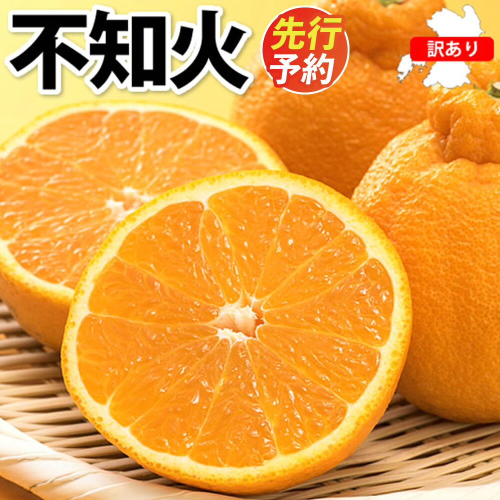 【ふるさと納税】＜選べる内容量＞訳あり 不知火 2kg / 5kg / 7kg ご自宅用 サイズ不選別 蜜柑 みかん ミカン 柑橘 デコポン デコみかん しらぬい フルーツ くだもの 果物 果実 デザート 冷蔵 熊本県産 国産 熊本県 熊本市 送料無料 【2027年1月下旬～4月下旬発送予定】