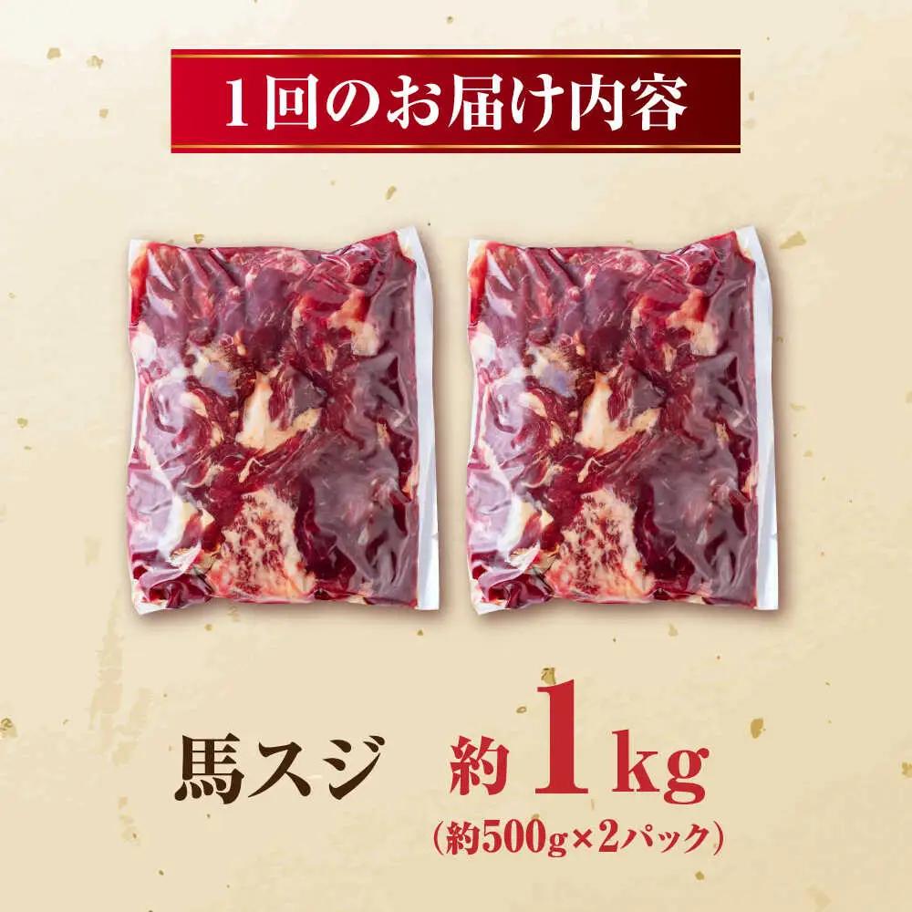 【全6回定期便】 馬スジ 計6kg 1回あたり1kg（500g×2パック） / 馬肉 スジ 筋 煮込み 冷凍[AYBV032]