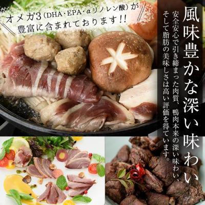 ふるさと納税 曽於市 薩摩黒鴨ラーメン　28食入り!! |  | 02