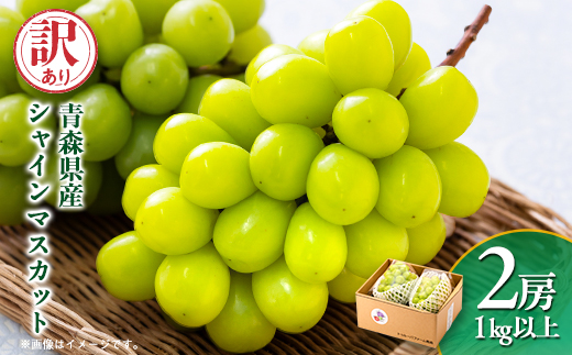 2026年発送【訳あり】青森市産シャインマスカット 2房(1kg以上)【配送不可地域：離島・沖縄県】