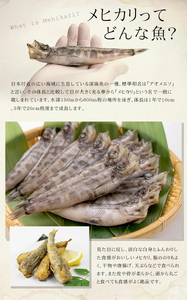 メヒカリ丸干し 900g（300g×3パック） | 脂のり抜群 白身魚 海鮮 干物 おつまみ 焼くだけ簡単 人気 福島県 いわき市 ふるさと納税 | DG029-900g