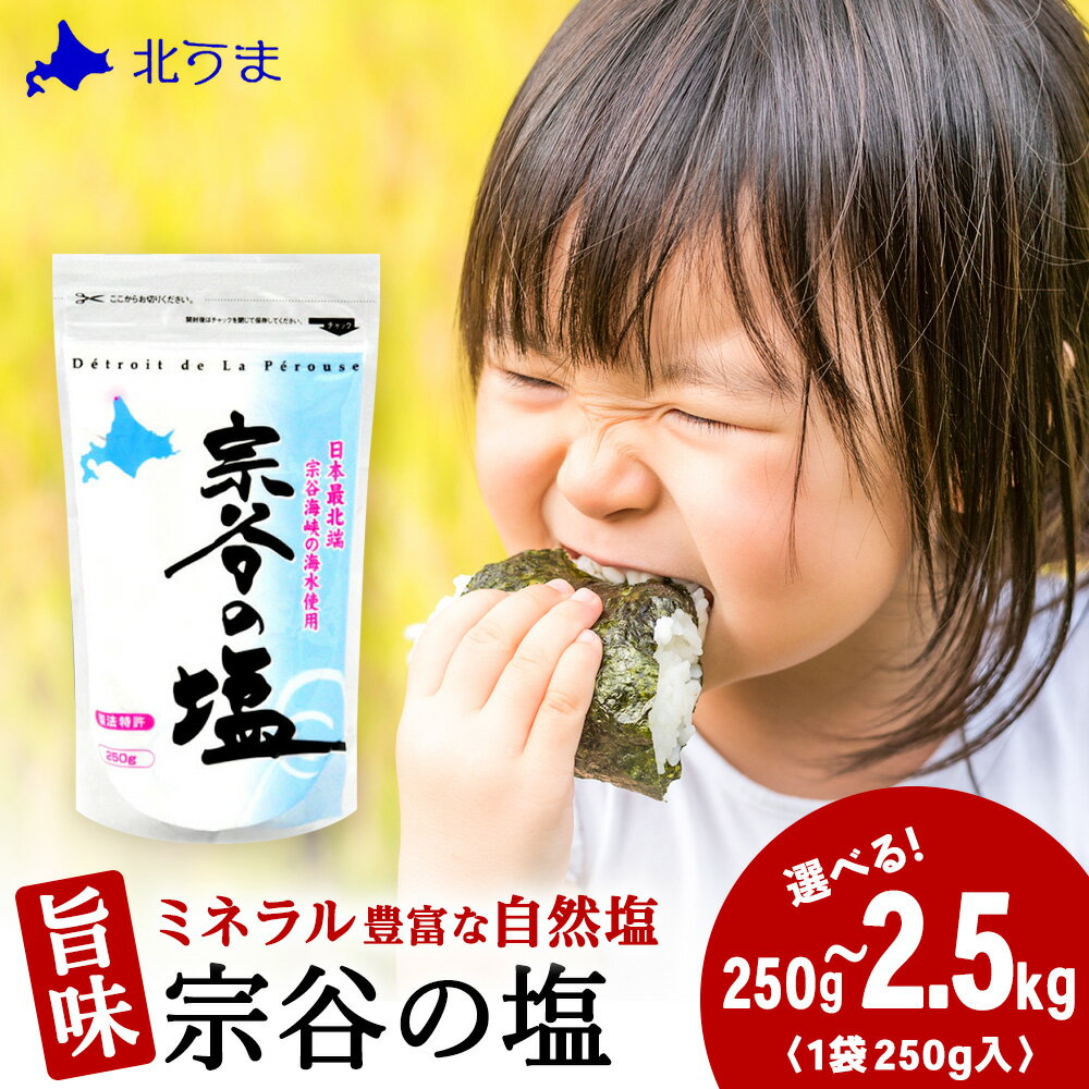 【ふるさと納税】【レビューキャンペーン実施中】宗谷の塩 選べる250g〜2.5kg 1袋250g宗谷の塩 しお 塩 ミネラル にがり 自然塩 ナチュラル 調味料 北海道ふるさと納税 稚内 【配送不可地域：離島・沖縄県】