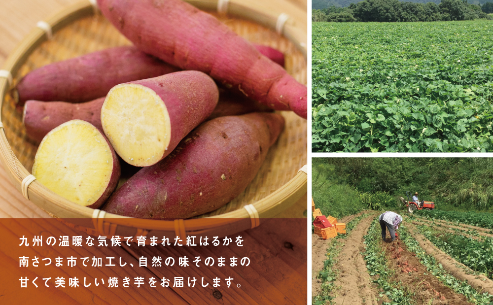 紅はるか 冷凍焼き芋 計3kg（500g×6袋） スイーツ さつまいも サツマイモ べにはるか 焼き芋 焼いも 冷凍 JA 南さつま市
