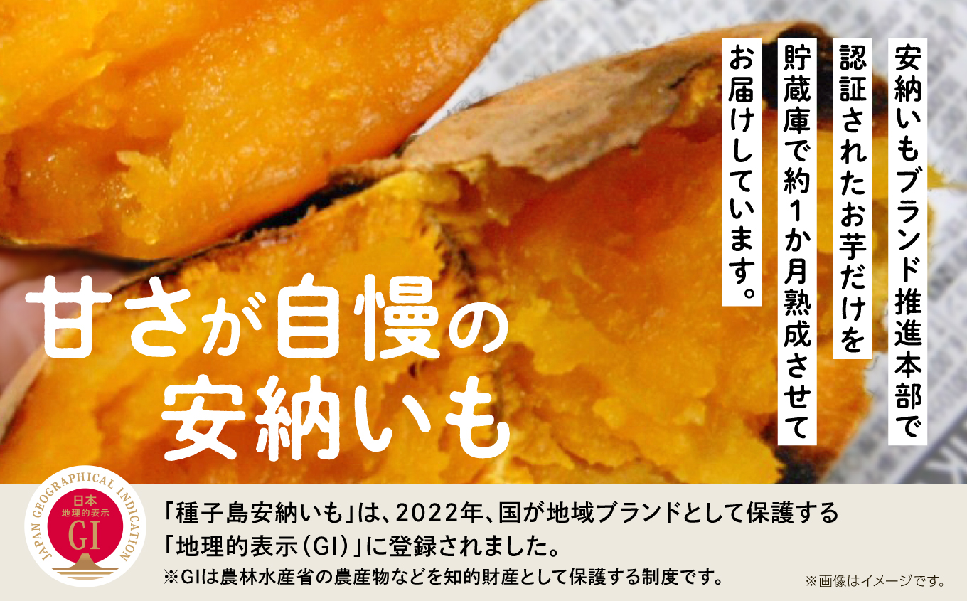  【先行予約】本場 種子島産 天然スイーツ 種子島 安納いも 10kg 詰め合わせ さつまいも さつま芋 安納芋 焼きいも 甘い ねっとり スイーツ おやつ 10キロ たねがしま 人気 南種子町 鹿児