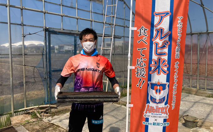 【アルビ米】新潟産コシヒカリ精米2kg×2袋