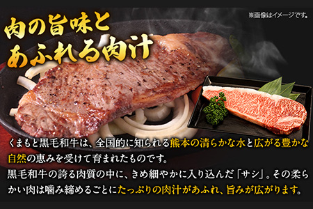 くまもと黒毛和牛 サーロインステーキ 500g ( 250g x 2枚 ) 牛肉 冷凍 《1月中旬-4月末頃出荷》 くまもと黒毛和牛 黒毛和牛 冷凍庫 個別 取分け 小分け 個包装 ステーキ肉 にも 