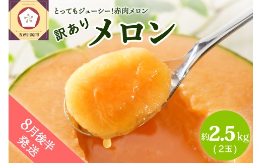 【2026年8月後半発送】【訳あり】メロン2.5kg程度(赤肉2玉)津軽産