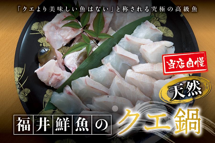 
【先行予約】幻のクエ！国産 天然クエ鍋 500g くえ 鍋 セット 【母の日・父の日までにお届け】【fki104-cho】
