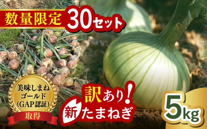 【訳あり】【数量限定30個】【先行予約/2026年6月上旬以降順次発送】美味しまねゴールド認証取得！ 松江市産 春おとずれ新たまねぎ 5kg 島根県松江市/mishiro farm [ALIJ001]