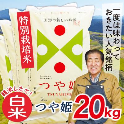 ふるさと納税 最上町 【令和7年産先行受付】山形県産特別栽培米　つや姫20kg(白米)