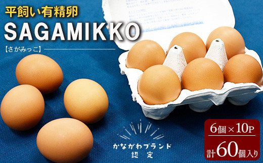 
《かながわブランド認定》平飼い有精卵さがみっこ 6個入り×10P 計60個 | 平飼い ケージフリー 卵 有精卵 鶏卵 玉子 たまご 生卵 国産 濃厚 コク 旨味 ※離島への配送不可
