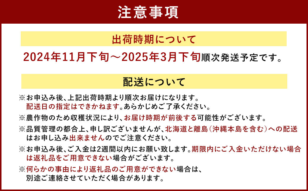 福岡県産 あまおう 4パック＆練乳 いちご 苺 フルーツ 国産 セット【2024年11月下旬～2025年3月下旬発送予定】