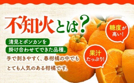 【先行受付】【家庭用】不知火 ( デコポン )と同品種 約 10kg 長岡農園 《2月中旬-4月上旬頃出荷》 和歌山県 日高川町 柑橘 不知火 でこ でこポン デコみかん 直送 大玉 10kg ｜不知