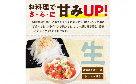 京都 丹後産 甘い有機玉ねぎ 10キロ【有機JAS取得】（2026年6月上旬～発送） ふるさと納税 たまねぎ 玉葱 玉ネギ オニオン 有機 玉ねぎ 有機野菜  有機栽培   甘い玉ねぎ サラダ 玉ねぎ 玉葱 野菜 やさい 生産者応援 農家応援 送料無料　DE00140