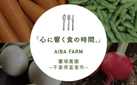 【先行予約・新豆 】【栽培期間中農薬不使用】千葉県産 大粒 農家直送！「生落花生」おおまさり３kg　【 ふるさと納税 人気 おすすめ ランキング 皮付き 殻付き ピーナッツ ピーナツ 落花生 千葉県 