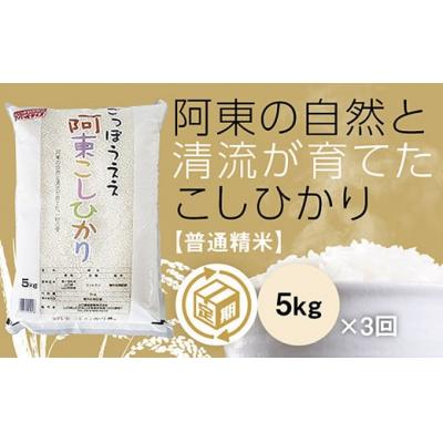ふるさと納税 山口市 阿東こしひかり(普通精米5キログラム)3か月定期便 B107