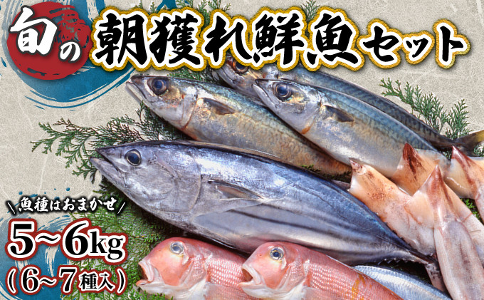 
KU072　宮崎県串間産 朝獲れ鮮魚セット計約5～6kg(6～7種) 定置網による厳選「朝獲れ鮮魚」を漁師直送！ 【豊漁丸】
