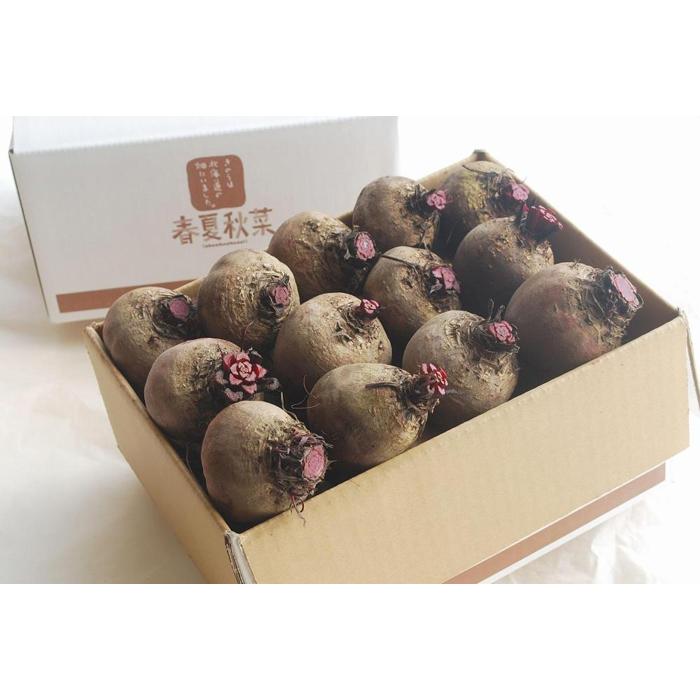 【ふるさと納税】「春夏秋菜」ビーツ4kg　【2025年8月より順次発送】 | 野菜 やさい 食品 人気 おすすめ 送料無料