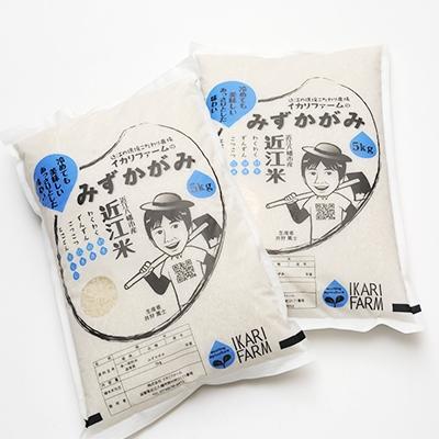 ふるさと納税 近江八幡市 【令和8年産】冷めても美味しいあっさりとした味わい「みずかがみ」白米10kg