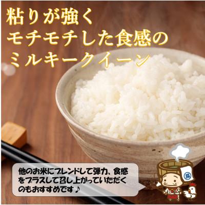 ふるさと納税 あわら市 【令和6年産】ミルキークイーン 精米 2kg×3袋《お米マイスターが発送直前に精米!》 |  | 01