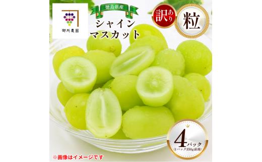 訳あり シャインマスカット 4パック 粒でお届け  ＜出荷時期：2025年8月下旬～2025年9月下旬頃＞フルーツ ぶどう 葡萄 御所農園 徳島県 阿波市