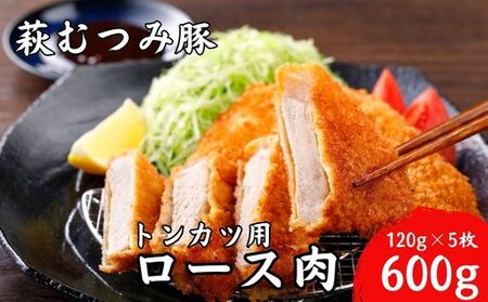 萩むつみ豚 トンカツ用ロース肉 120g×5枚